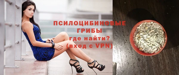 молекула духа Алзамай
