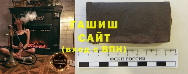 гашик Алексин