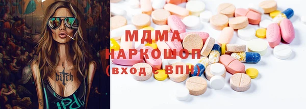 гашик Алексин