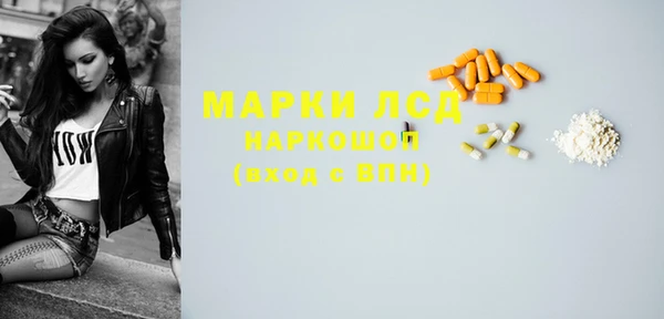гашик Алексин