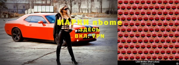 гашик Алексин