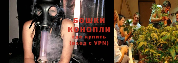 молекула духа Алзамай